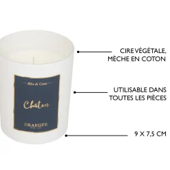 Bougies & Photophores*Draeger Paris Bougie cadeau - Chaton