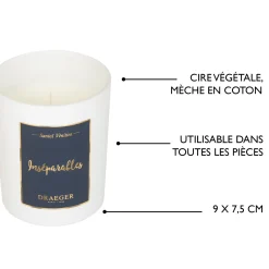 Bougies & Photophores*Draeger Paris Bougie cadeau - Inséparables