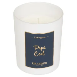 Bougies & Photophores*Draeger Paris Bougie cadeau - Papa Cool