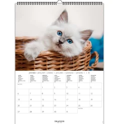 Calendriers|Agendas*Draeger Paris Calendrier Mural 2025 Décoration 29x39 cm - Chats