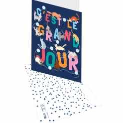 Cartes Géantes*Draeger Paris Carte Maxi pour un Départ