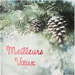 Partenariat Croix Rouge Francaise*Draeger Paris Coffret cartes de voeux Croix-Rouge Meilleurs voeux - Sapin