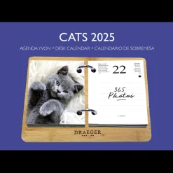 Agendas*Draeger Paris Coffret éphéméride Agenda Yvon 2025 - Edition Chat