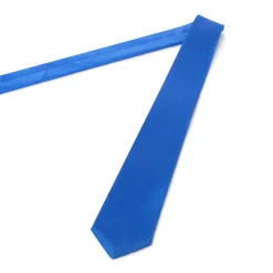 Cravates*Draeger Paris Cravate fine twill bleu roi