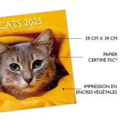 Calendriers|Agendas*Draeger Paris Grand Calendrier Mural 29x29 cm 2025