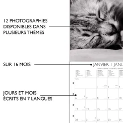 Calendriers|Agendas*Draeger Paris Grand Calendrier Mural 29x29 cm 2025