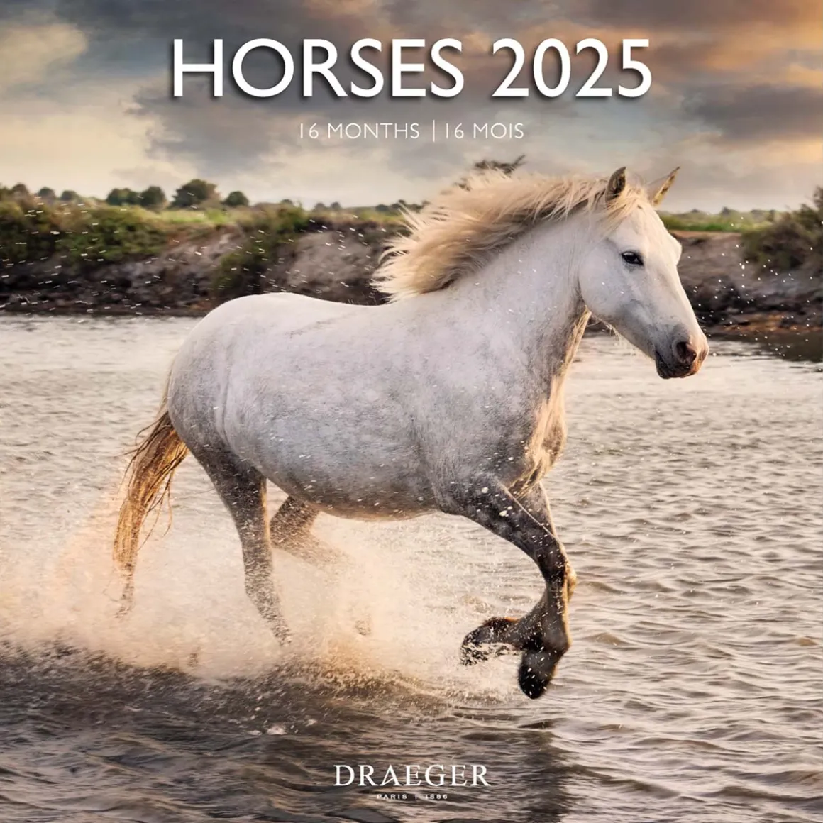 Calendriers|Agendas*Draeger Paris Grand Calendrier Mural 29x29 cm 2025