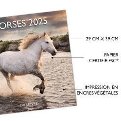 Calendriers|Agendas*Draeger Paris Grand Calendrier Mural 29x29 cm 2025