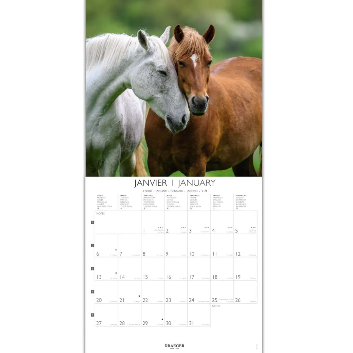 Calendriers|Agendas*Draeger Paris Grand Calendrier Mural 29x29 cm 2025