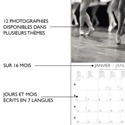 Calendriers|Agendas*Draeger Paris Grand Calendrier Mural 29x29 cm 2025