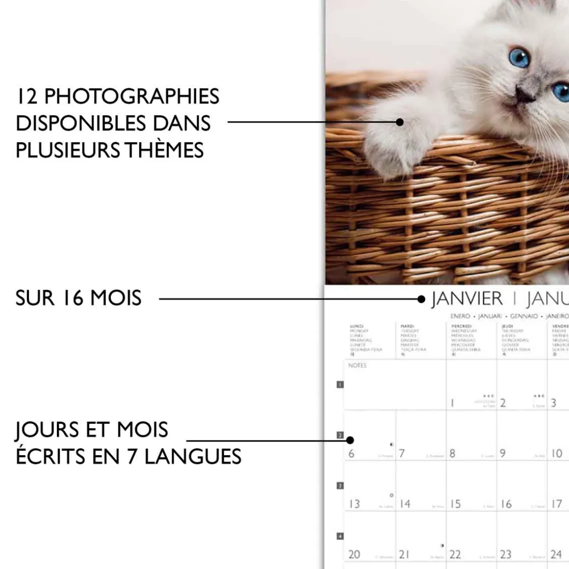 Calendriers|Agendas*Draeger Paris Grand Calendrier Mural 29x29 cm 2025
