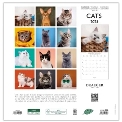 Calendriers|Agendas*Draeger Paris Grand Calendrier Mural 29x29 cm 2025