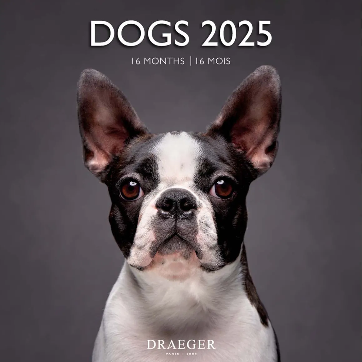 Calendriers|Agendas*Draeger Paris Grand Calendrier Mural 29x29 cm 2025