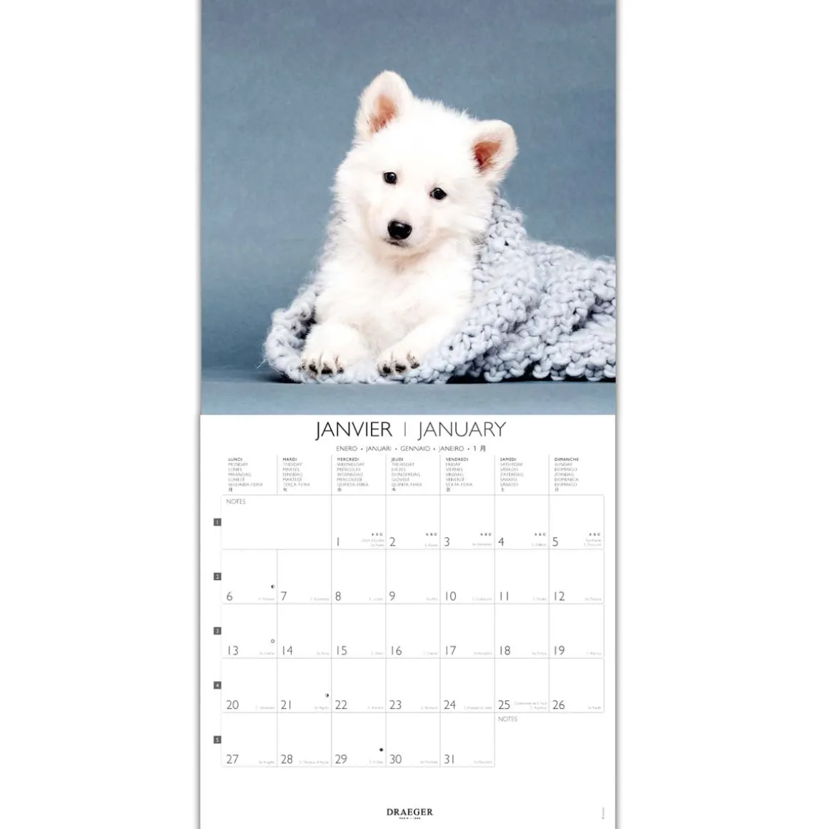 Calendriers|Agendas*Draeger Paris Grand Calendrier Mural 29x29 cm 2025