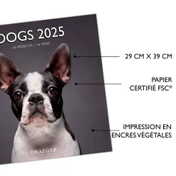 Calendriers|Agendas*Draeger Paris Grand Calendrier Mural 29x29 cm 2025