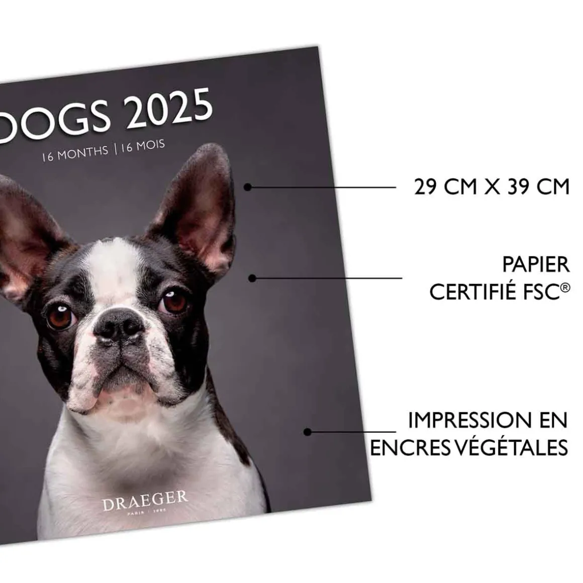 Calendriers|Agendas*Draeger Paris Grand Calendrier Mural 29x29 cm 2025