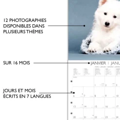 Calendriers|Agendas*Draeger Paris Grand Calendrier Mural 29x29 cm 2025