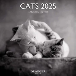 Calendriers|Agendas*Draeger Paris Grand Calendrier Mural 29x29 cm 2025