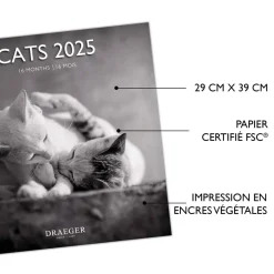 Calendriers|Agendas*Draeger Paris Grand Calendrier Mural 29x29 cm 2025