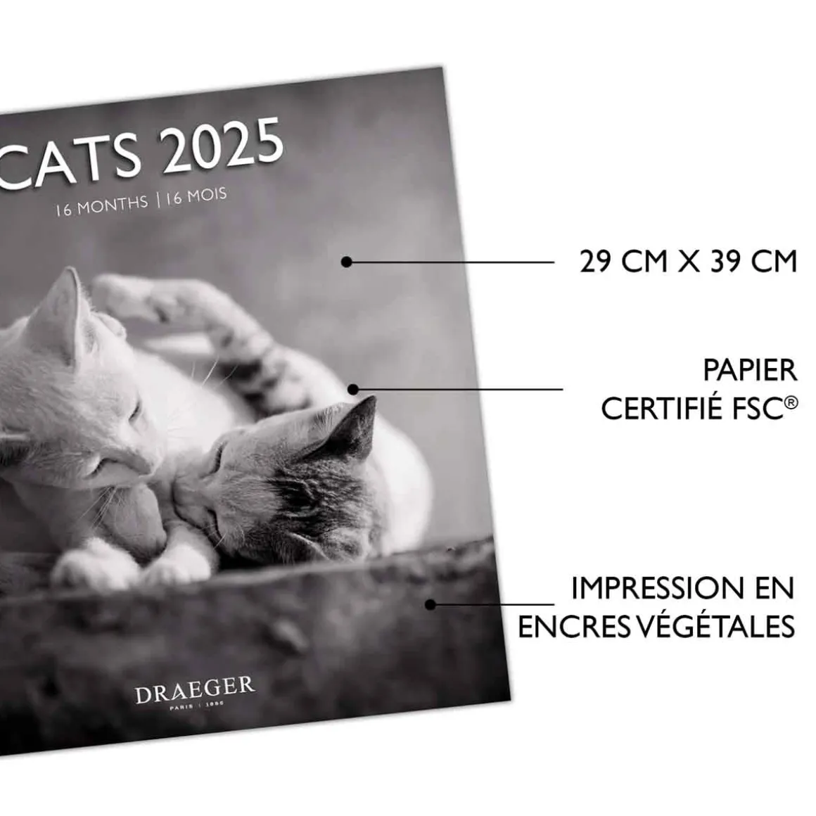 Calendriers|Agendas*Draeger Paris Grand Calendrier Mural 29x29 cm 2025