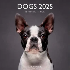Calendriers|Agendas*Draeger Paris Grand Calendrier Mural 29x29 cm 2025 - Chiens