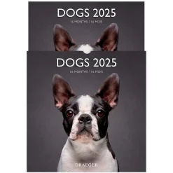 Calendriers|Agendas*Draeger Paris Grand Calendrier Mural 29x29 cm 2025 - Chiens