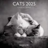 Calendriers|Agendas*Draeger Paris Grand Calendrier Mural 29x29 cm 2025 - Chats Black & White