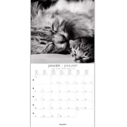 Calendriers|Agendas*Draeger Paris Grand Calendrier Mural 29x29 cm 2025 - Chats Black & White