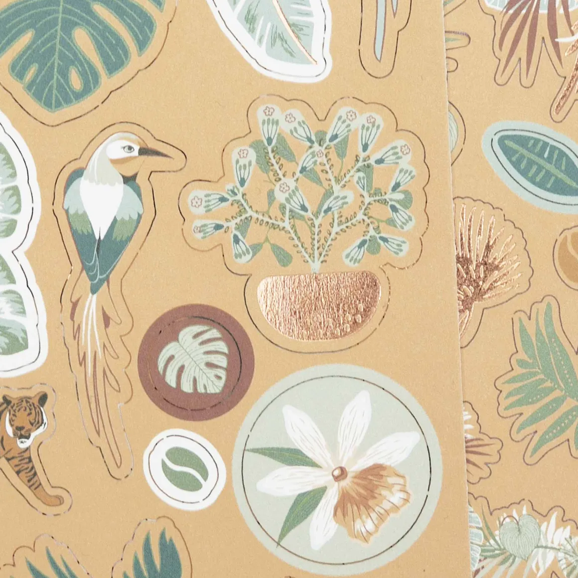 Stickers Muraux|Kit Démarrage*Draeger Paris Kit décoration Safari