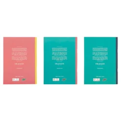 Carnets & Blocs-notes|Organiseurs*Draeger Paris Lot de 3 carnets A5 lignés - rose, vert