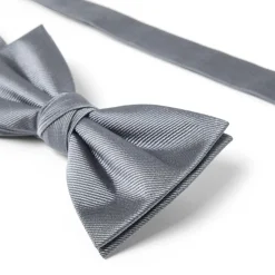 Nœuds Papillon*Draeger Paris Noeud papillon twill gris clair