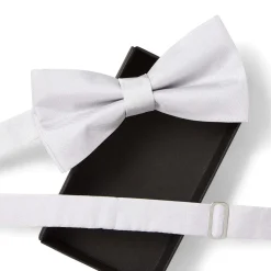 Nœuds Papillon*Draeger Paris Noeud papillon twill gris clair