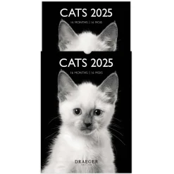 Calendriers|Agendas*Draeger Paris Petit Calendrier Mensuel 2025 14x18 cm - Chats Noir & blanc