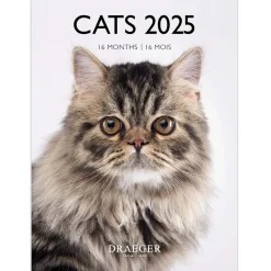 Calendriers|Agendas*Draeger Paris Petit Calendrier Mensuel 2025 14x18 cm - Chats