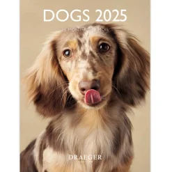 Calendriers|Agendas*Draeger Paris Petit Calendrier Mensuel 2025 14x18 cm - Chiens