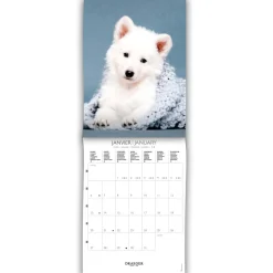 Calendriers|Agendas*Draeger Paris Petit Calendrier Mensuel 2025 14x18 cm - Chiens