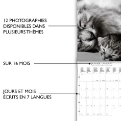 Calendriers|Agendas*Draeger Paris Petit Calendrier Mural 14x18 cm 2025