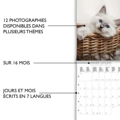 Calendriers|Agendas*Draeger Paris Petit Calendrier Mural 14x18 cm 2025