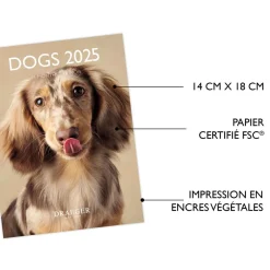 Calendriers|Agendas*Draeger Paris Petit Calendrier Mural 14x18 cm 2025