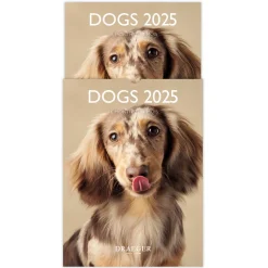 Calendriers|Agendas*Draeger Paris Petit Calendrier Mural 14x18 cm 2025