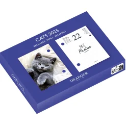 Agendas*Draeger Paris Recharge éphéméride agenda Yvon 2025 - Edition Chat