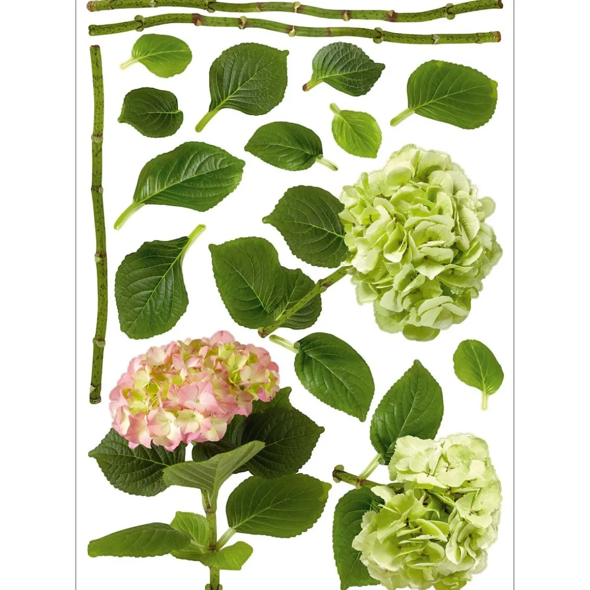 Stickers & Embellissements*Draeger Paris Sticker mural Hortensias